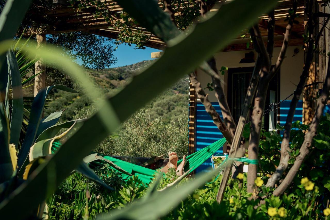 Saveriako, Paradise For Relaxed Free Spirits Villa อาเยีย เปลาเยีย ภายนอก รูปภาพ